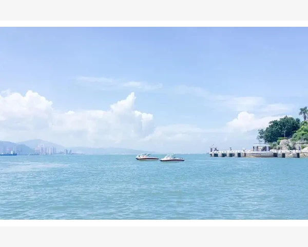 历年会计初级真题下载与高效备考路径